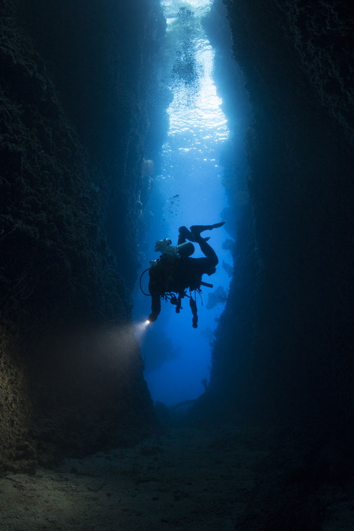 Deep impact: the underwater photographers bringing the ocean's silent  struggle to life, Photography